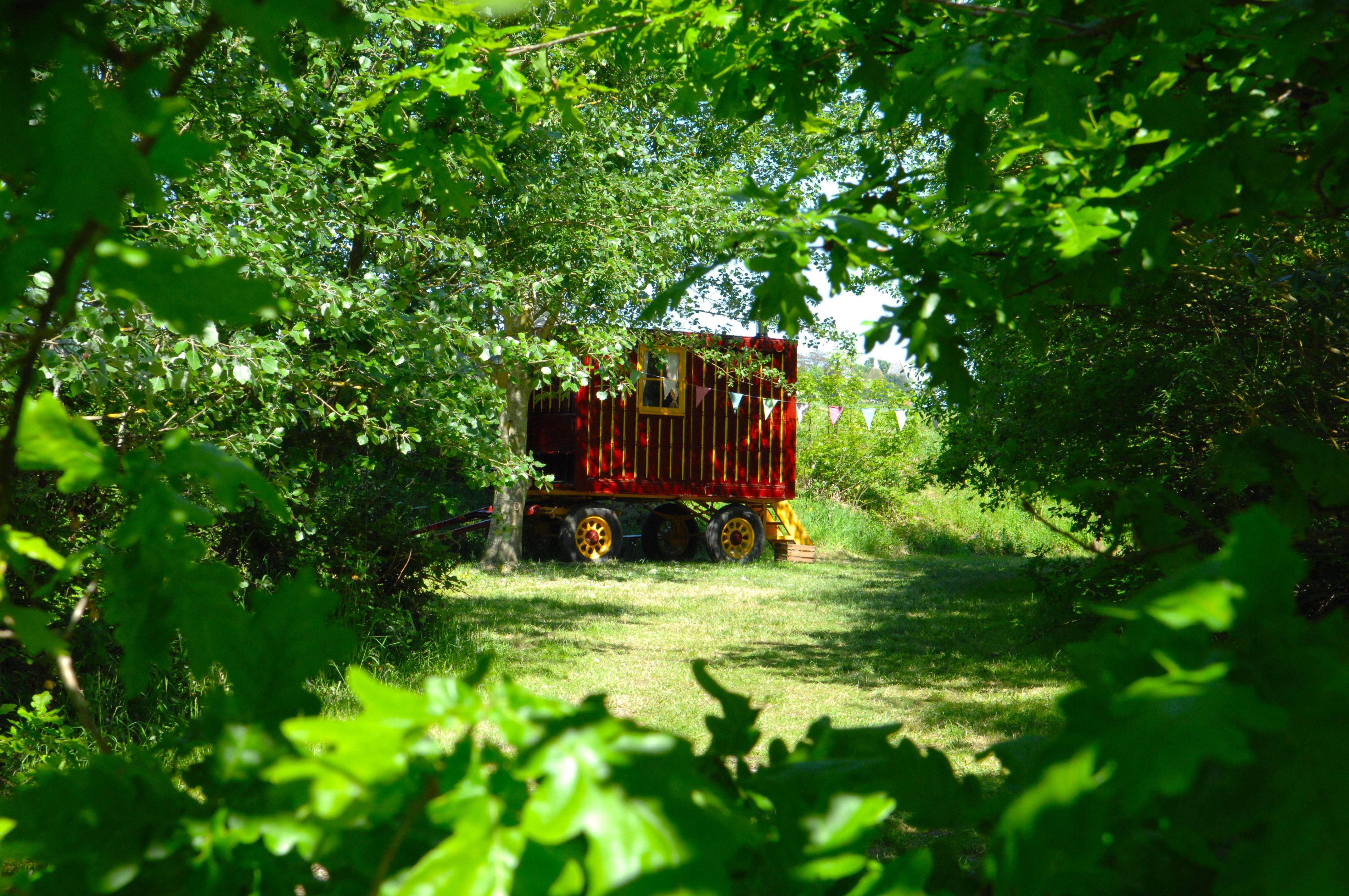 wagon through the trees.jpg