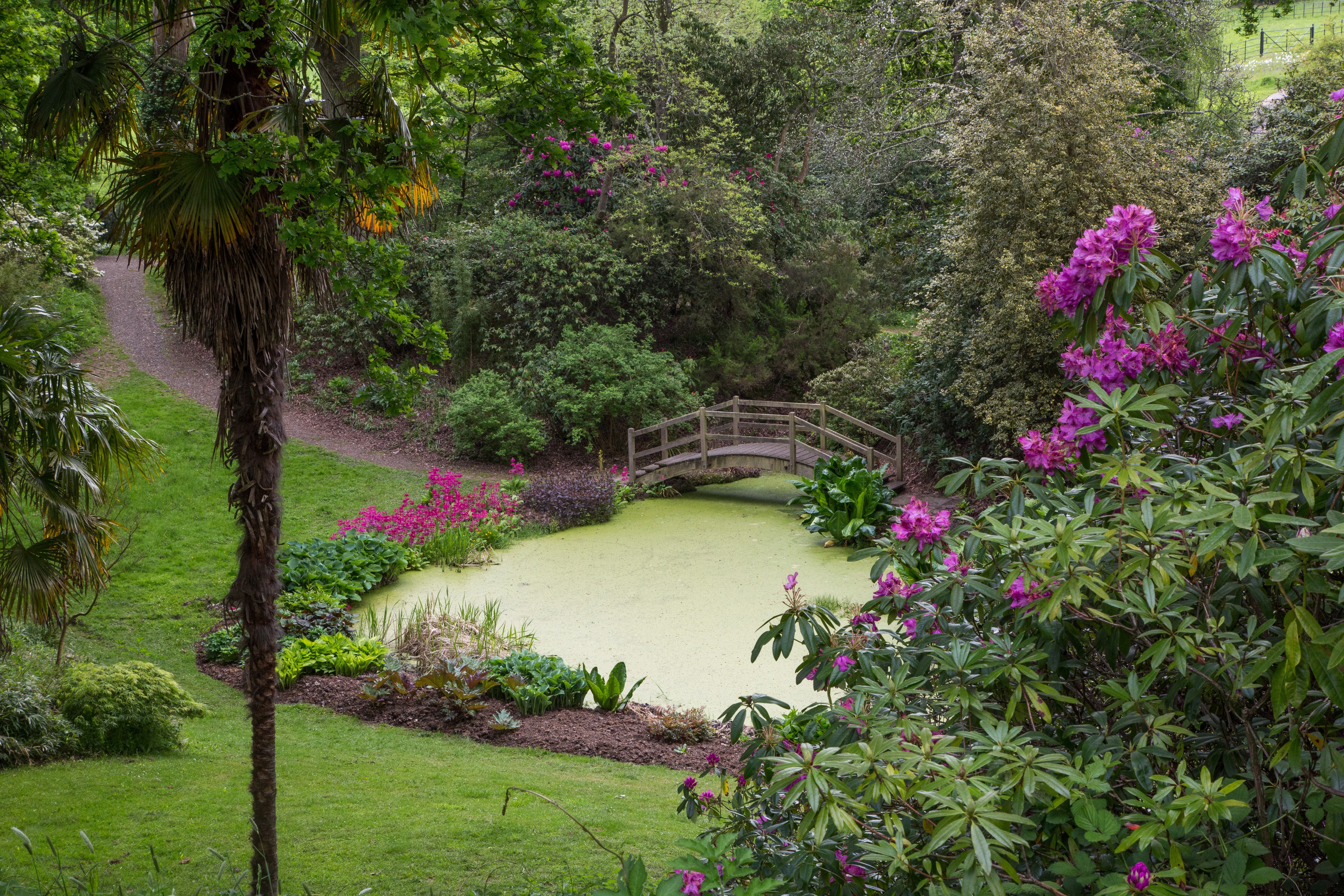 Hole Park - Stuart Kirk.jpg