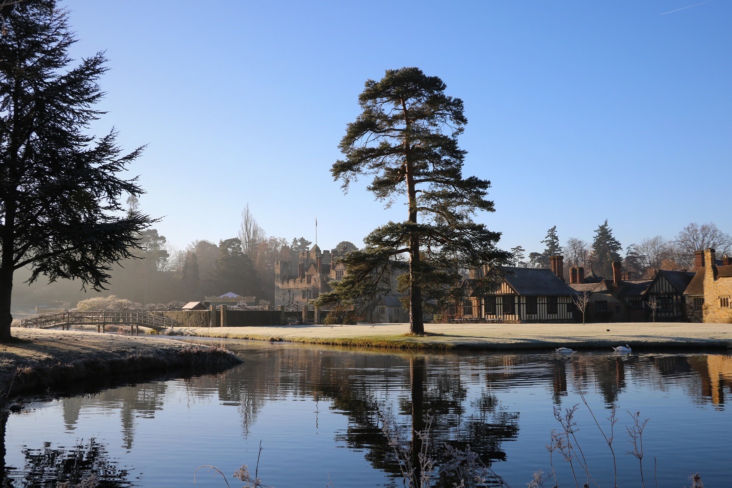 Hever winter crop.jpg (1)