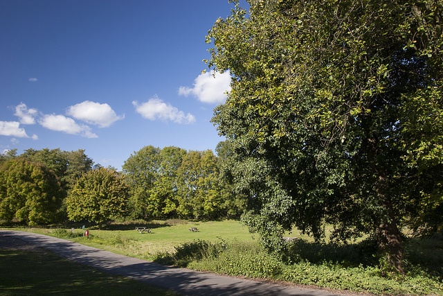 dryhill-country-park (1).jpg