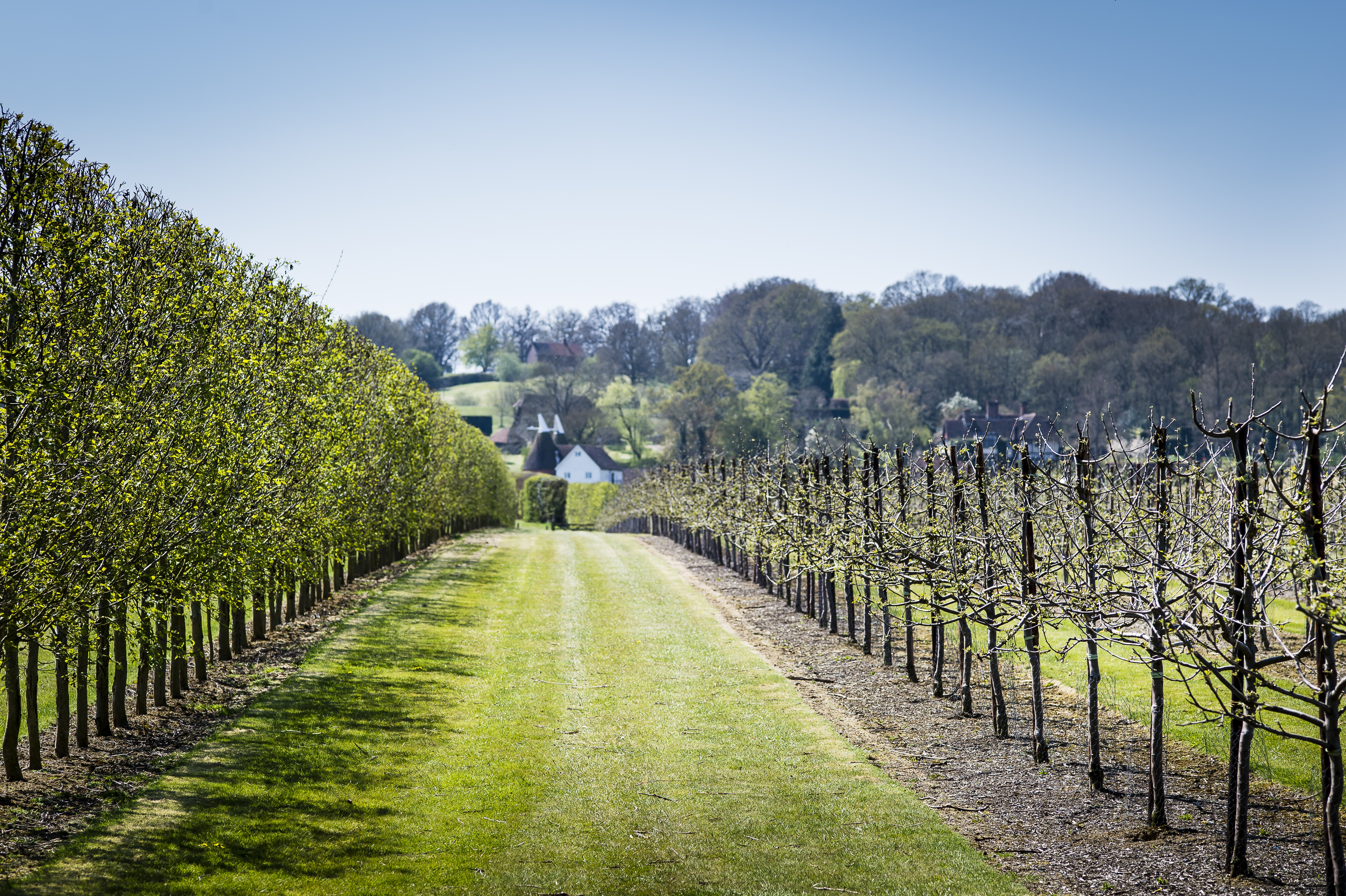 kent-and-sussex-wine-tours-north-weald-tour.jpg