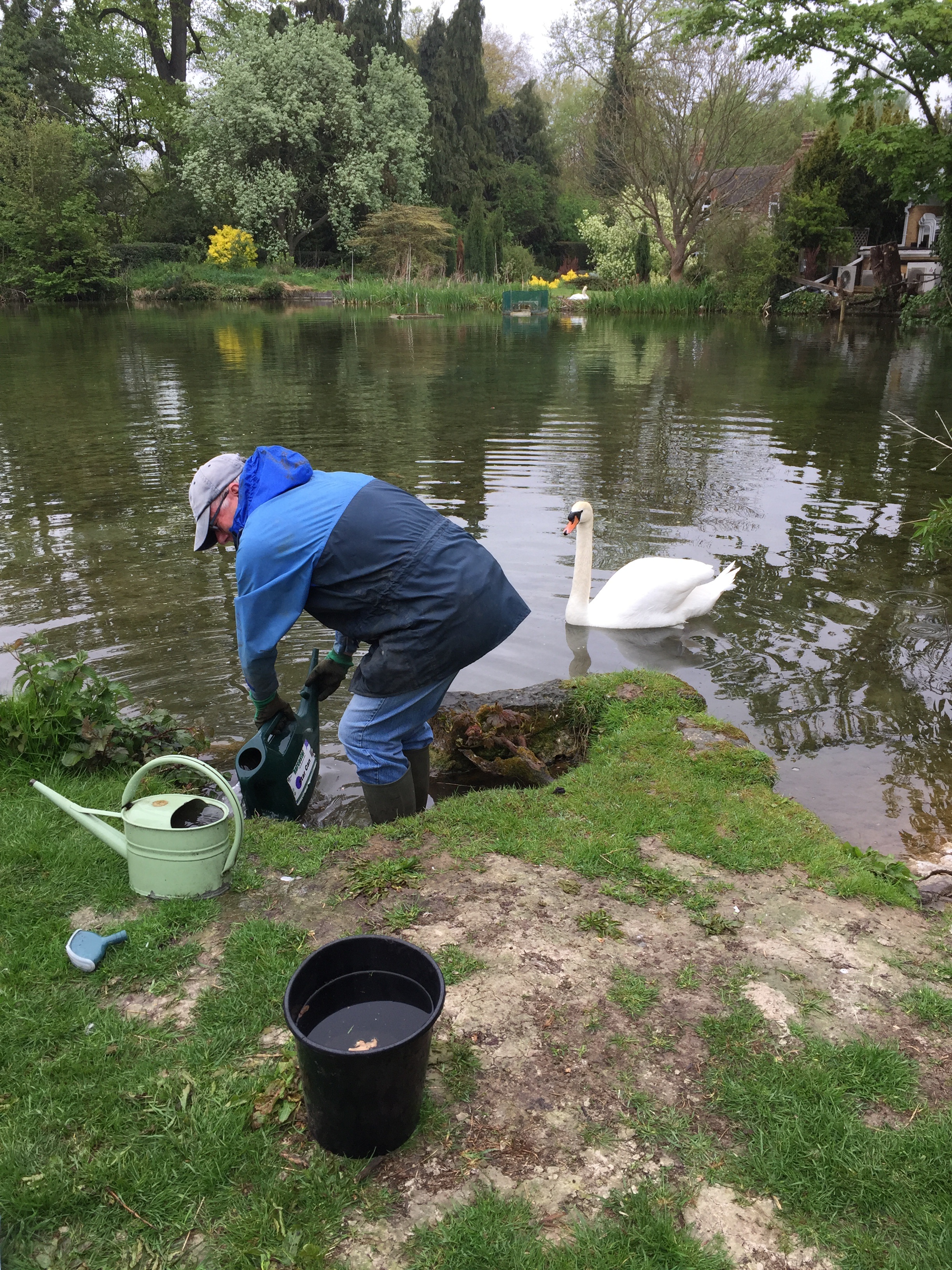 Clare-Lake-Tree-planting-2.JPG (1)