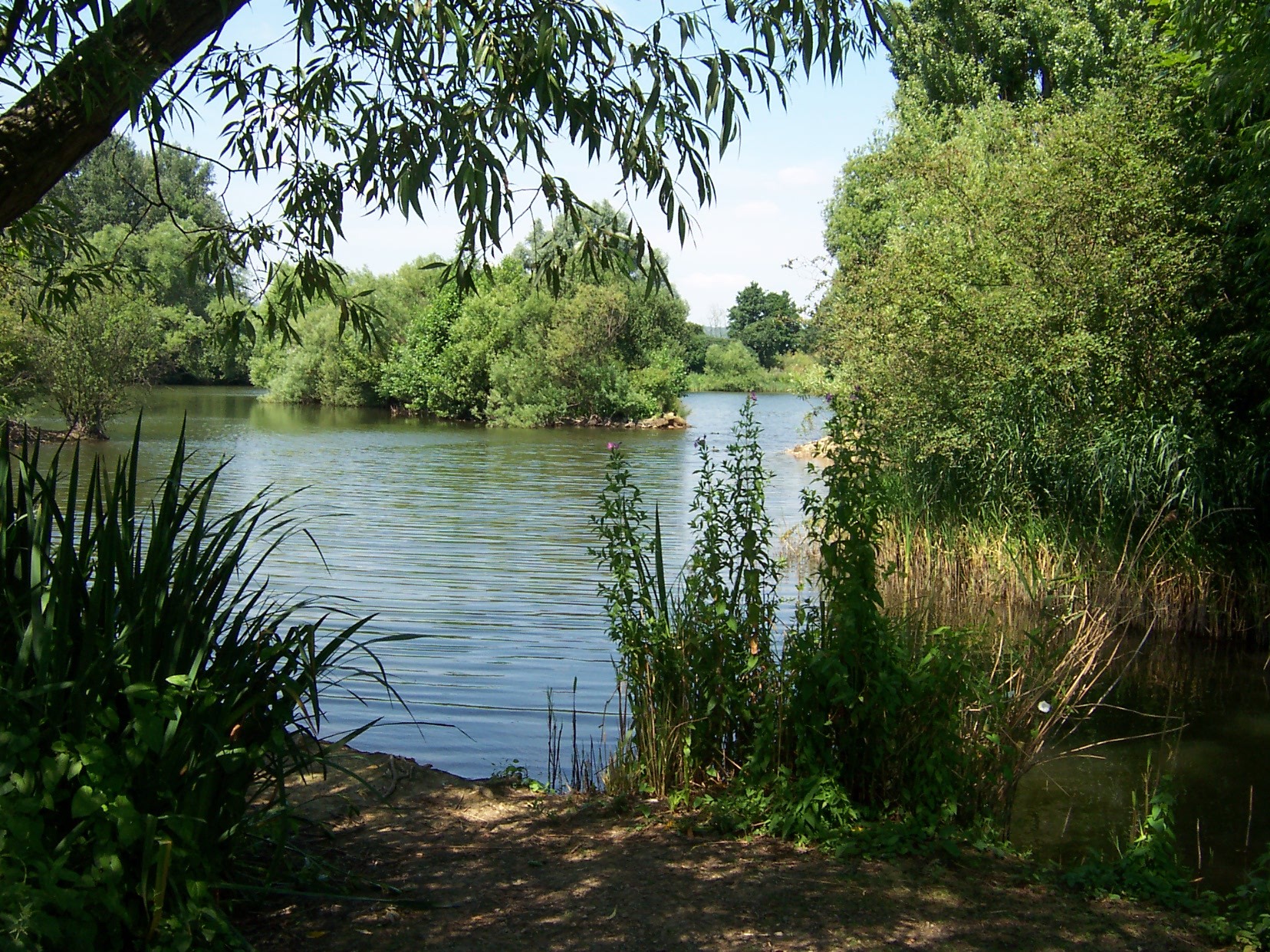leybourne-lakes-country-park-1.jpg