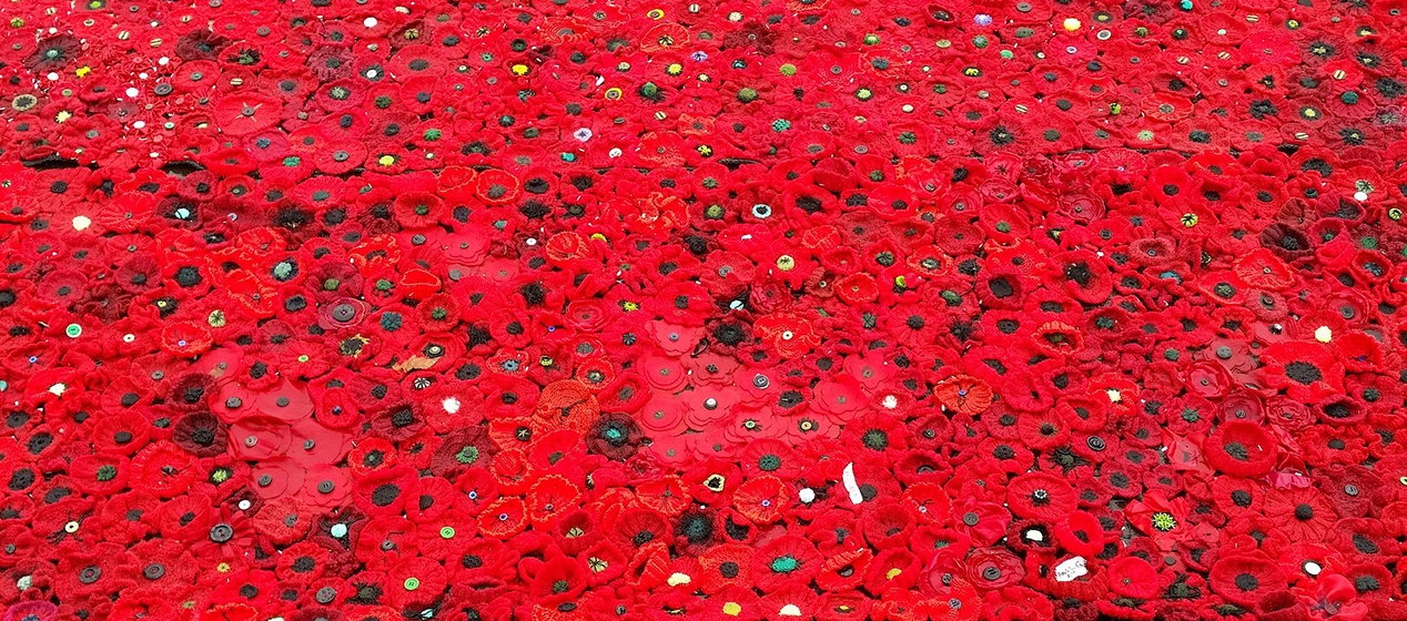 5000 Poppies header.jpg