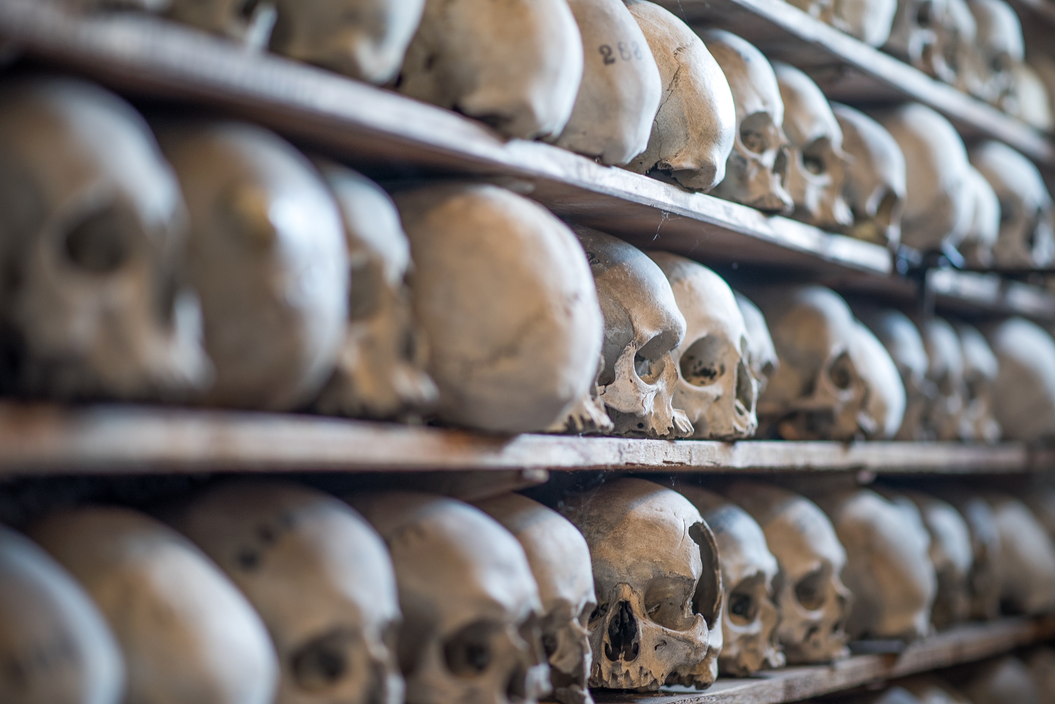 SDC Hythe shoot-303.jpg