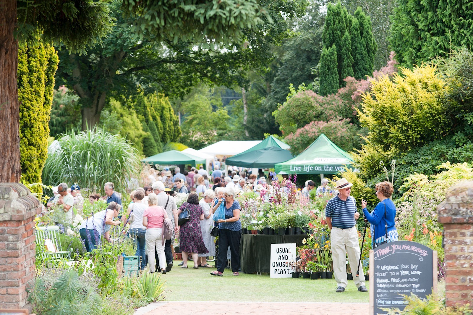 e7dafee8-a686-483a-93e4-648845a3eb64-Great Comp Summer Show 16-23.jpg