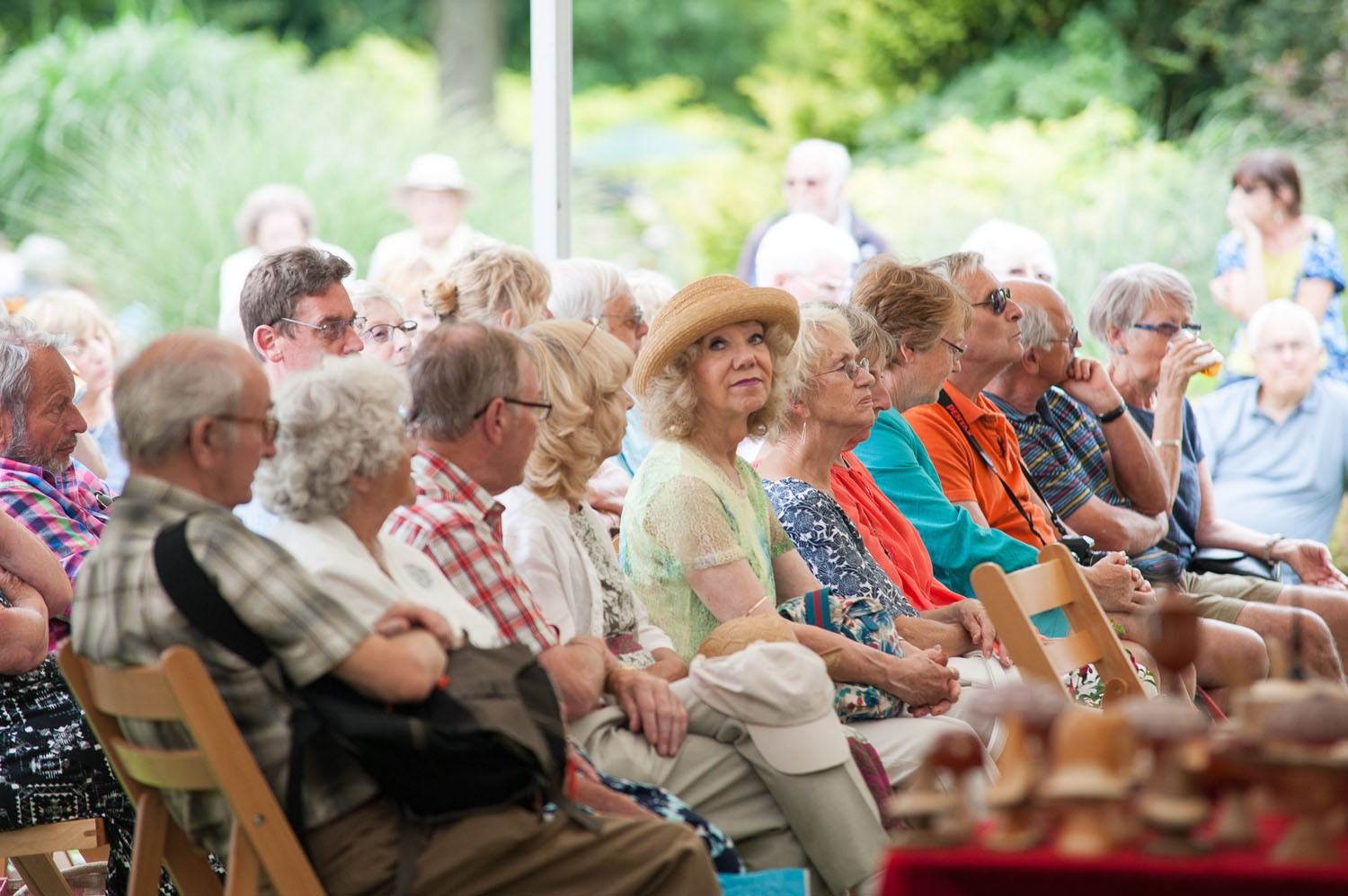 2f2aef33-7abe-4ee8-8dd7-3627fa61bd67-Great Comp Summer Show 16-111.jpg