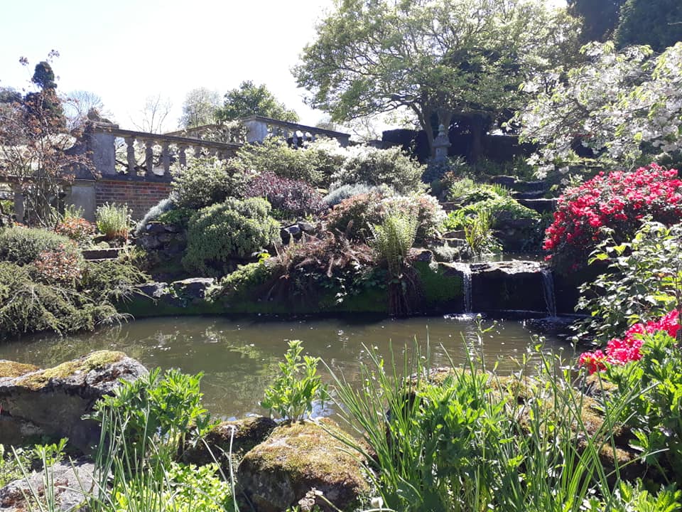 Water Garden 2 Mount Ephraim 2019 MG.jpg