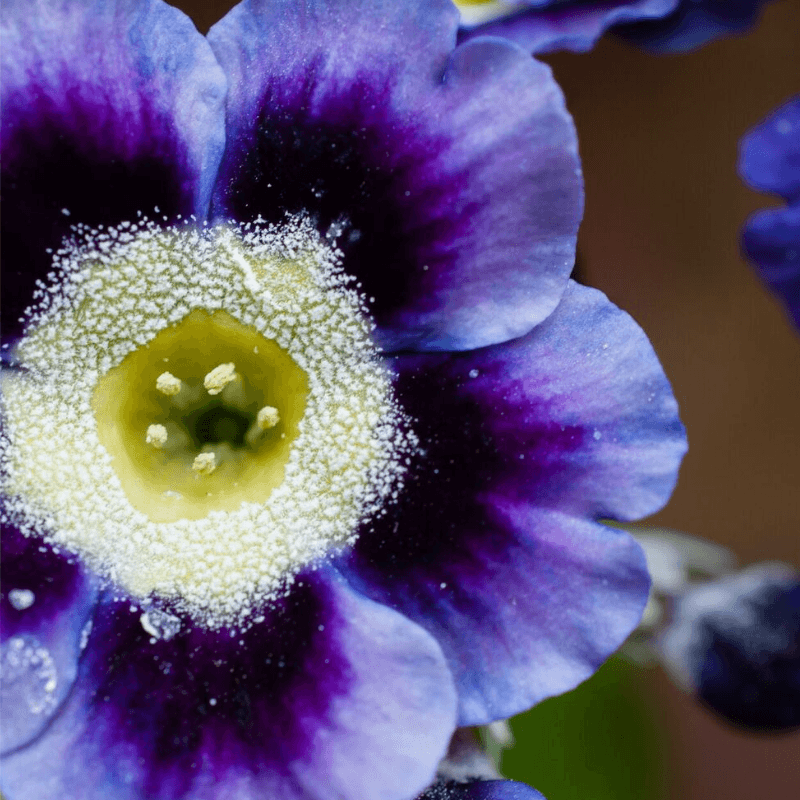 Untitled Design 2019 05 28T095230.459