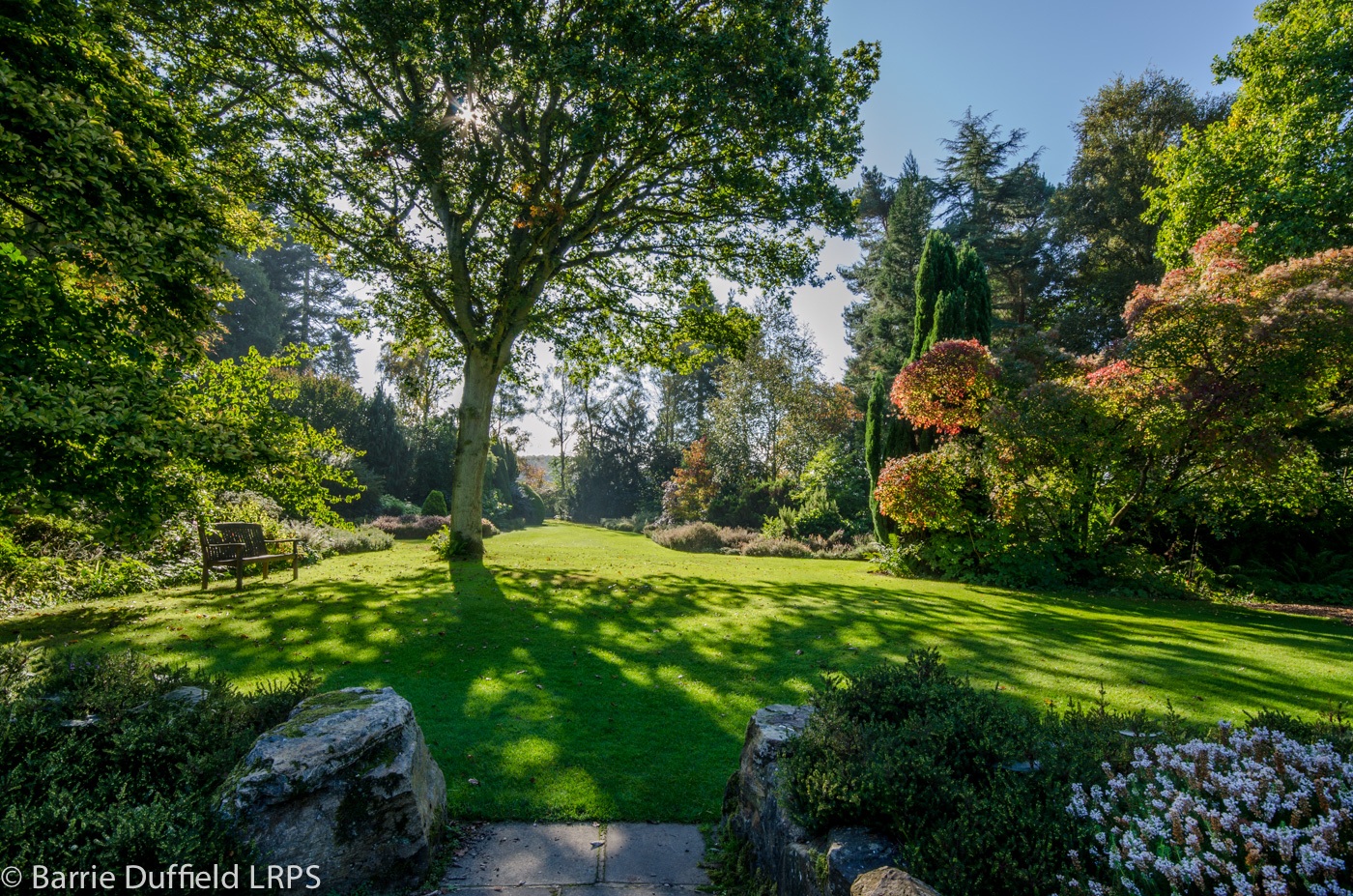 Barryduffield Great Comp 4Th Oct 2014 23