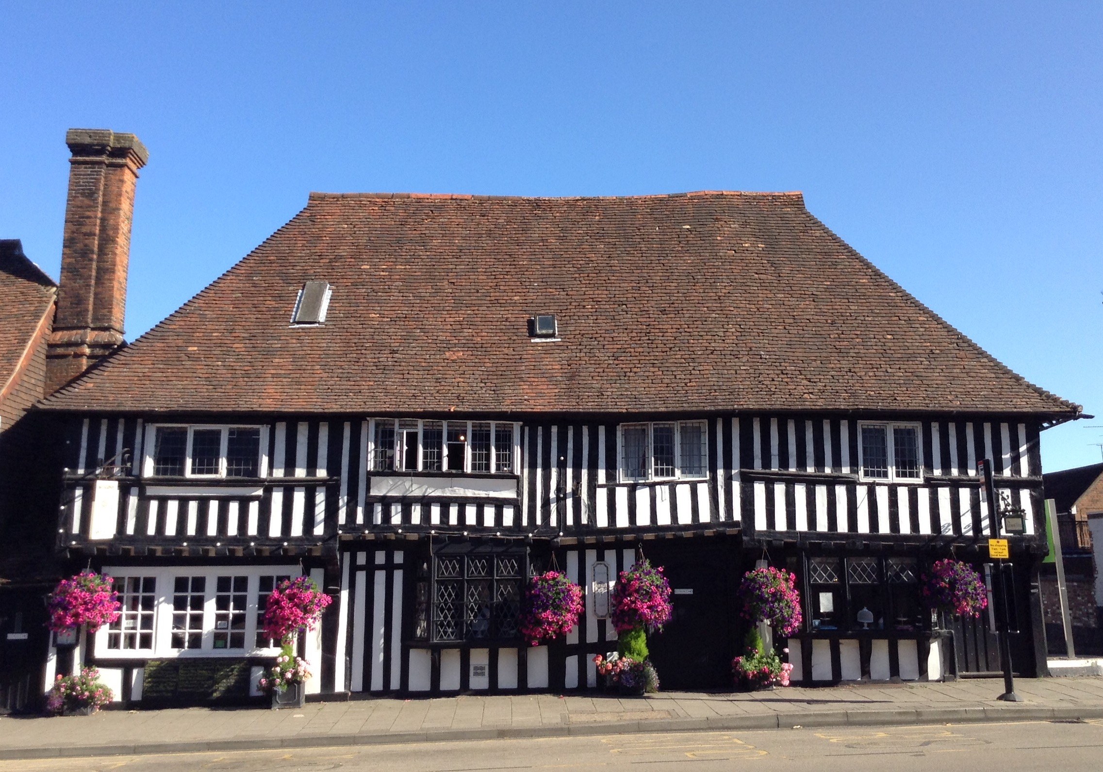 Lem Tree Photo Aug19 (C)