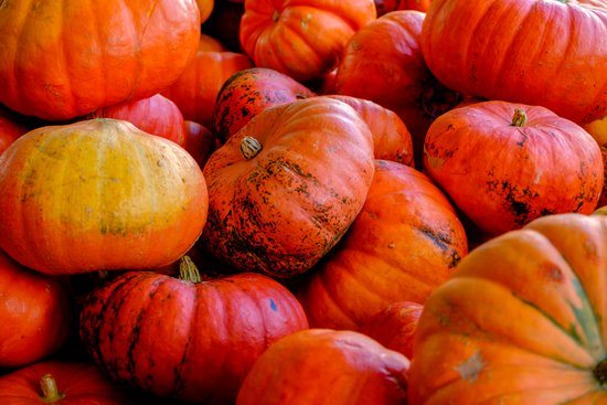 Canva Close Up Photography Of Red And Orange Pumpkins Madgxd0fqb0(1)