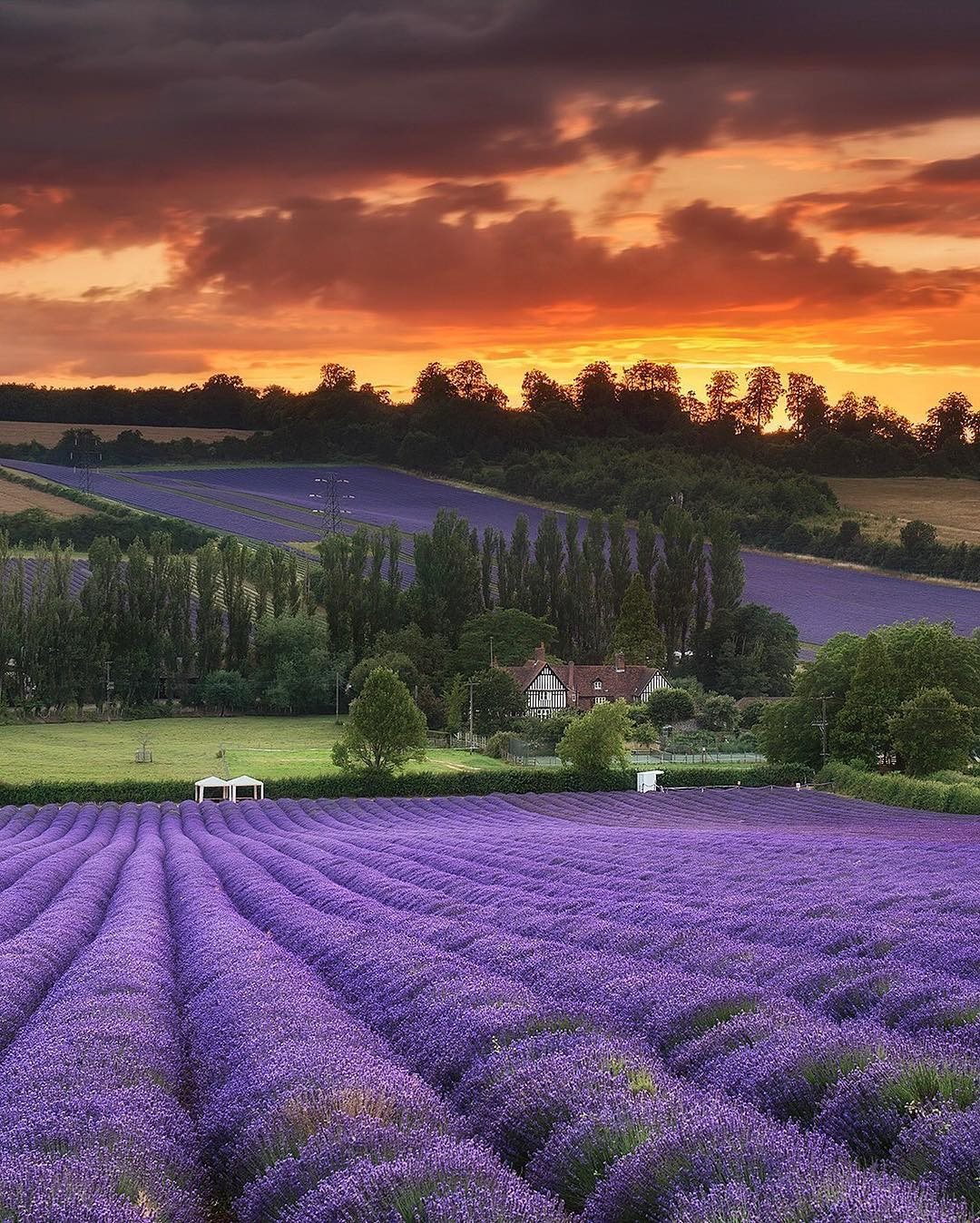 The Hop Shop Credit Photosbyjet (On Instagram)