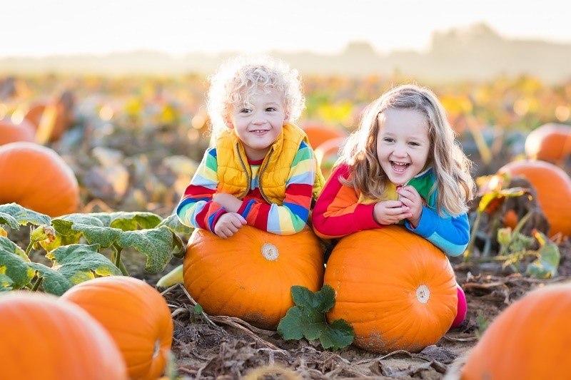 28ff7cba-9608-4c96-bab4-456b708041bc-Kids picking pumpkins (002).jpg