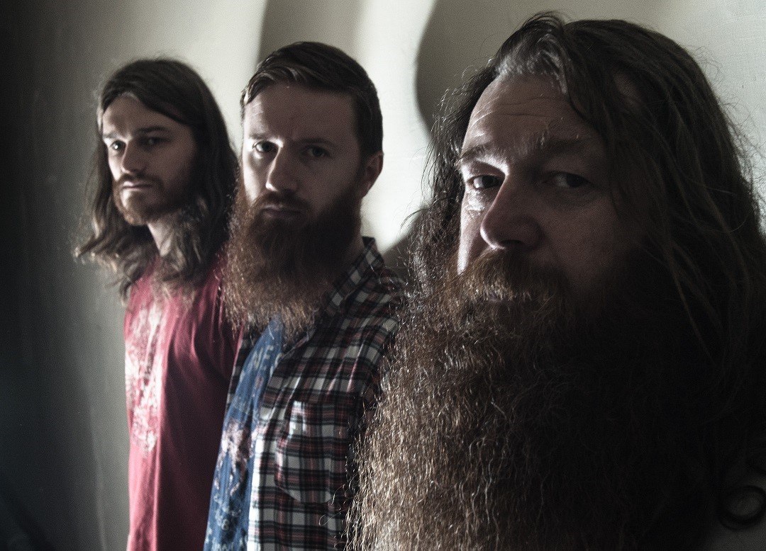 59bcd1fc-d711-493f-a1d7-cf80ac9d9913-Crow Black Chicken Photo for websites.jpg