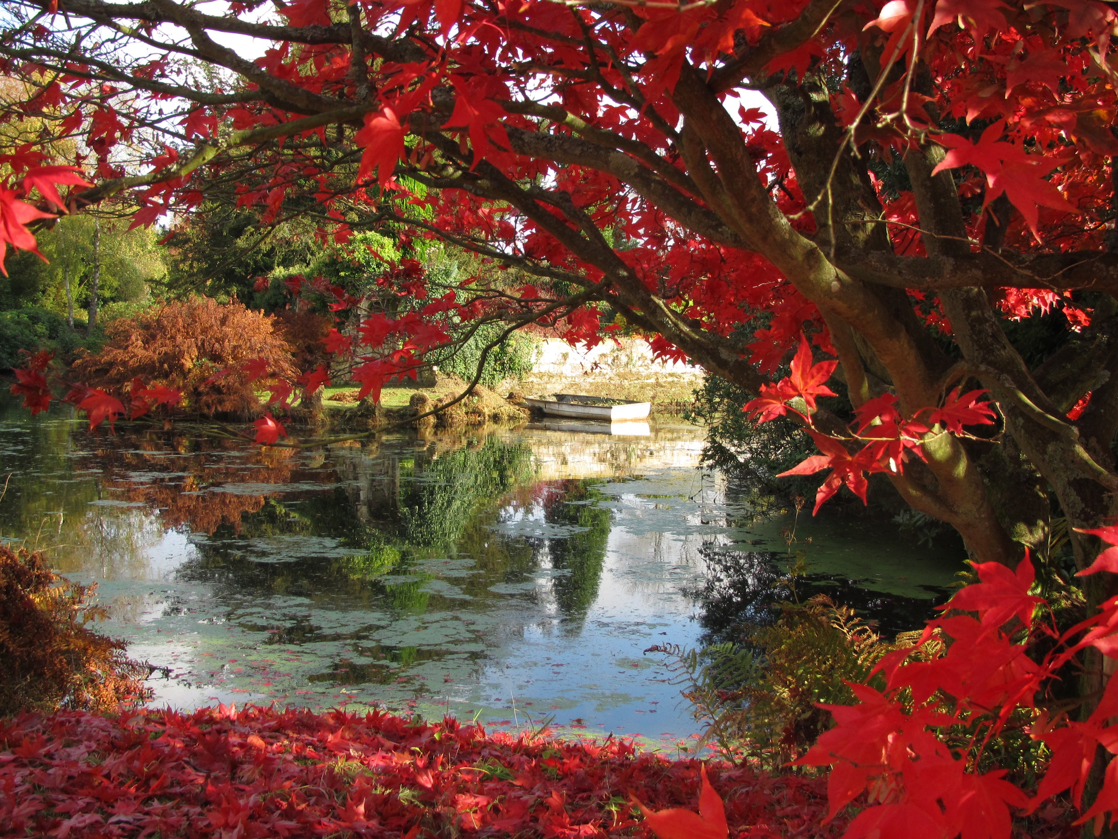 Scotney Castle IMG 0822
