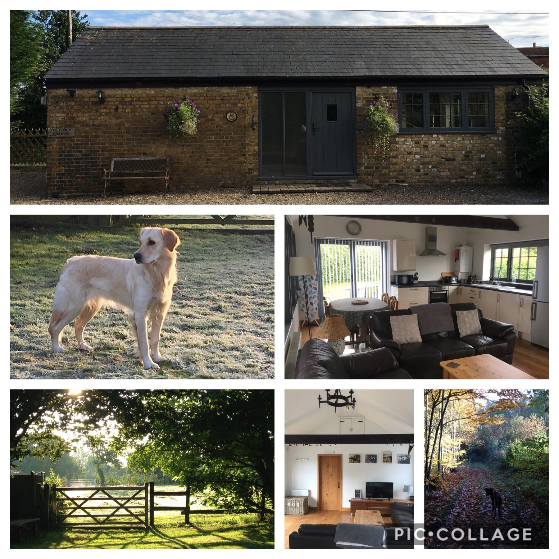 Picture Collage The Forge Dungate