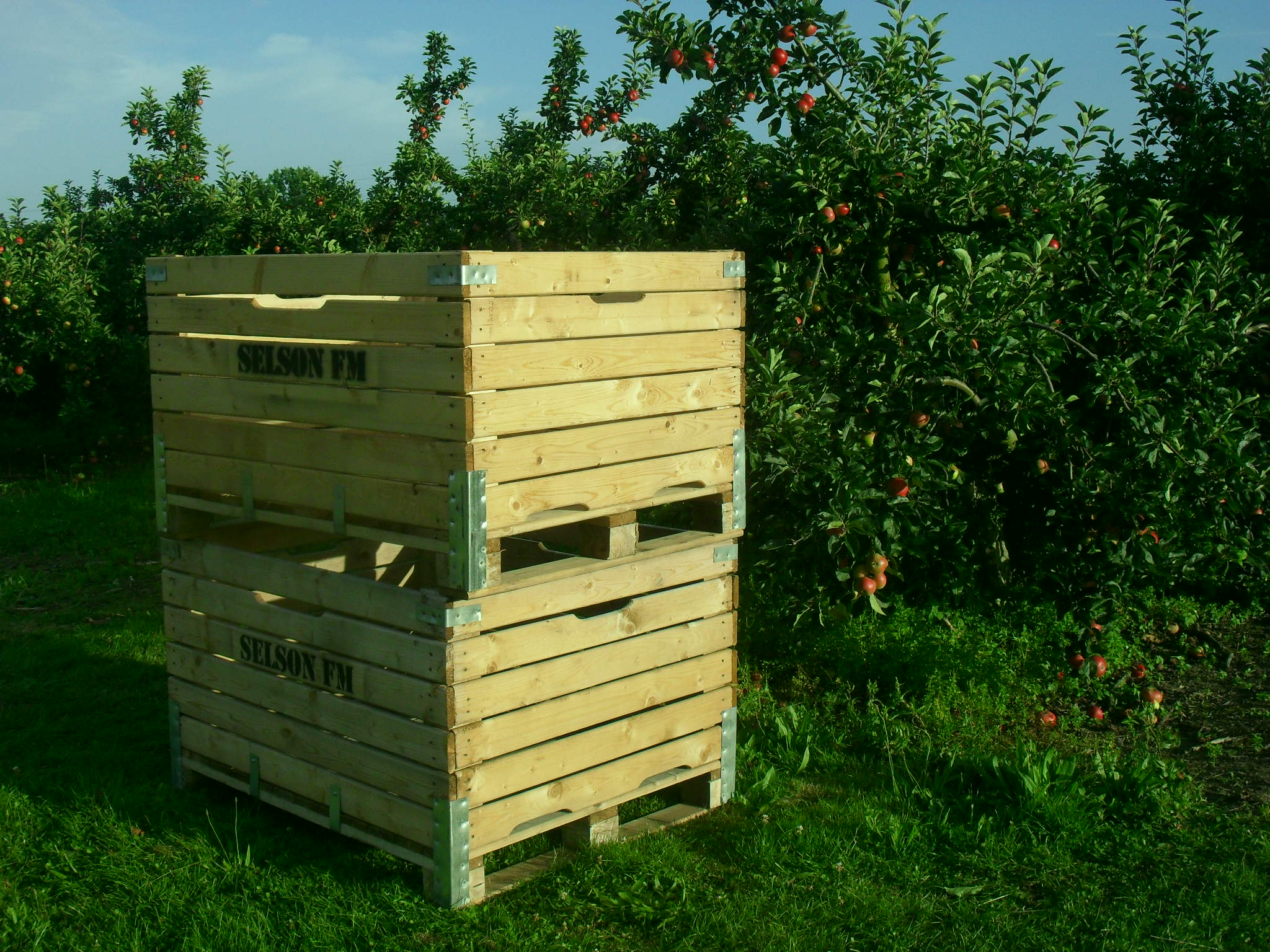 fallow-fields-camping-apple-bins-in-the-orchard-ready-to-be-filled.jpg
