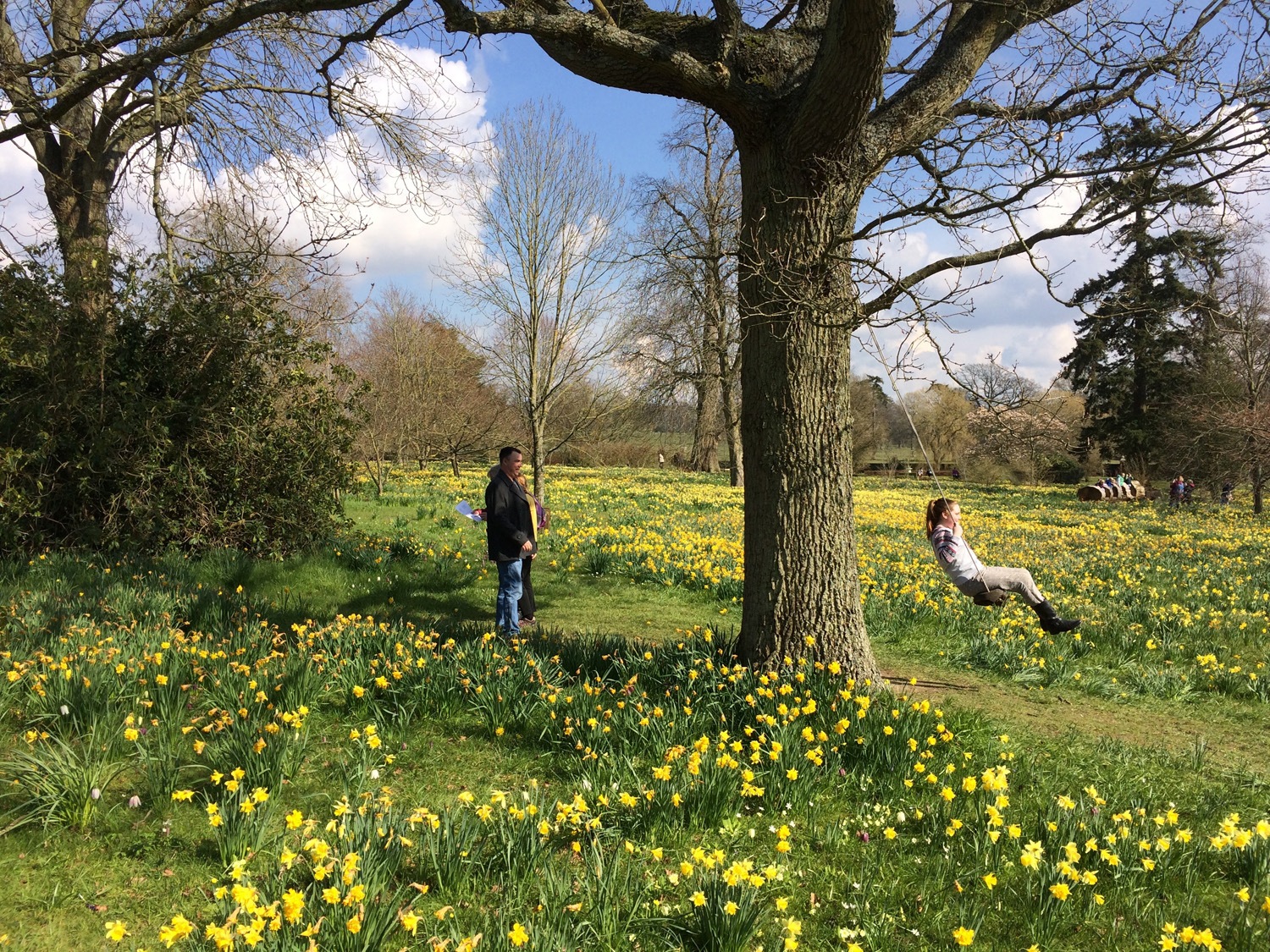 Godinton house spring week 2 resized.jpg