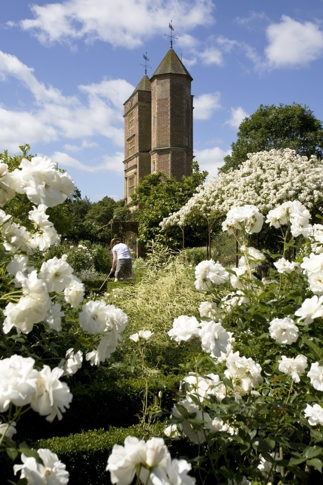 sissinghurst-white-flowers.jpg