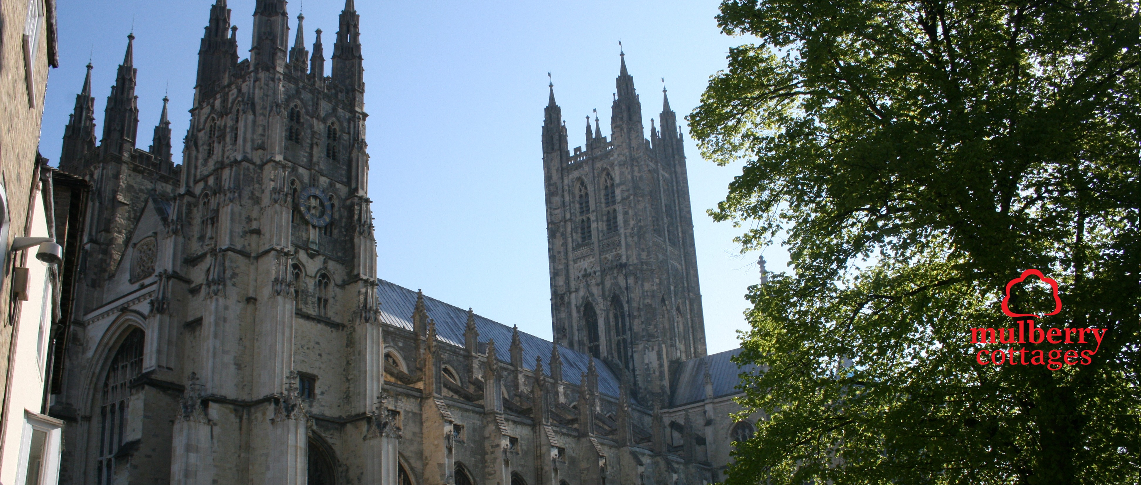 new-canterbury (4).jpg