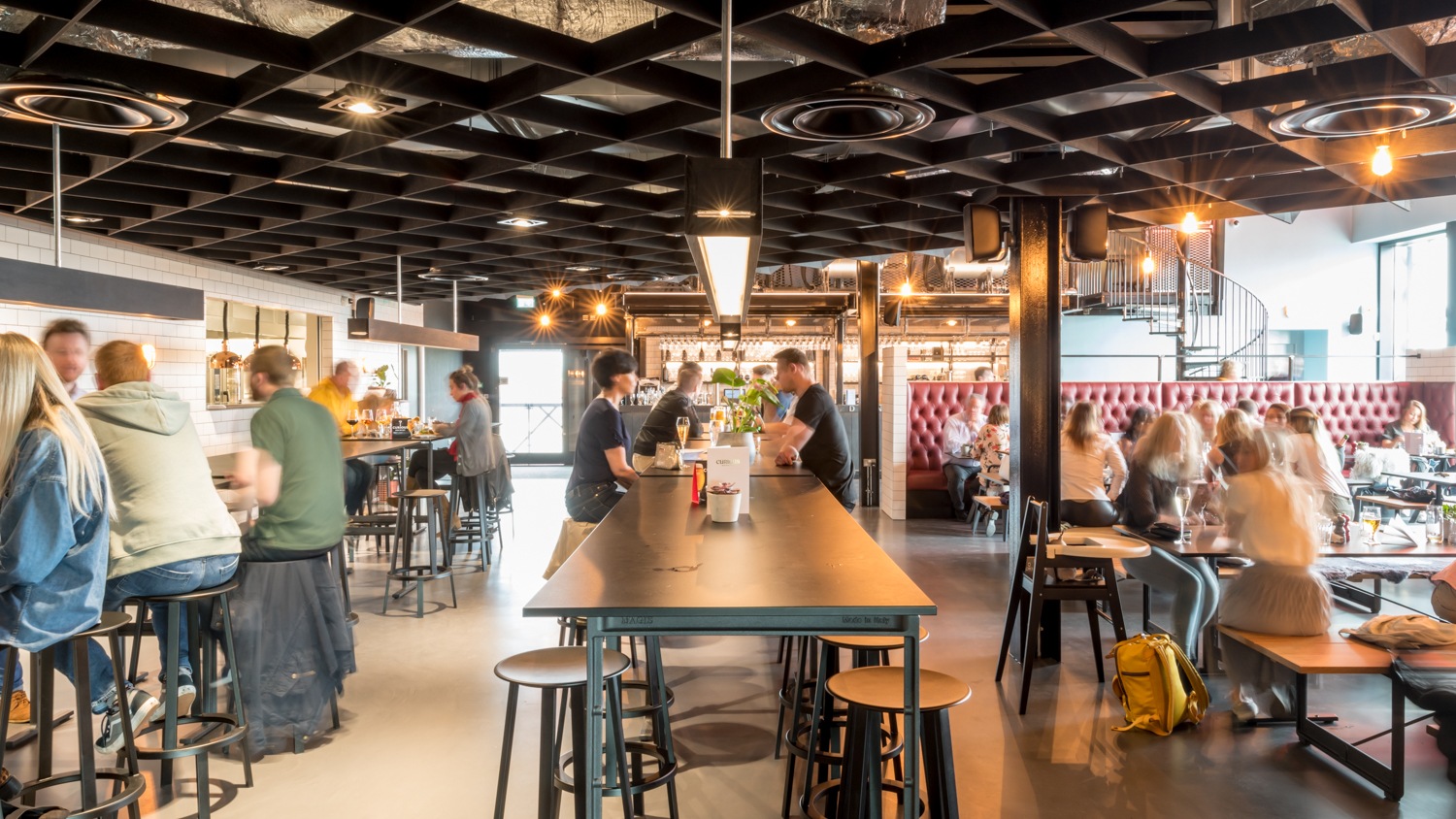 Curious Gendek 19.05.25 LR (16 Of 37)