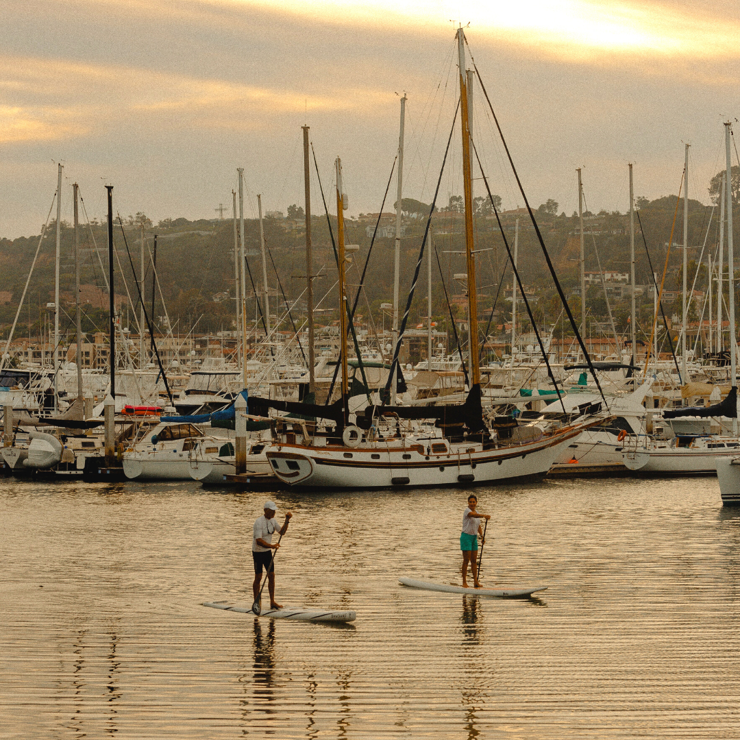 Paddle Board