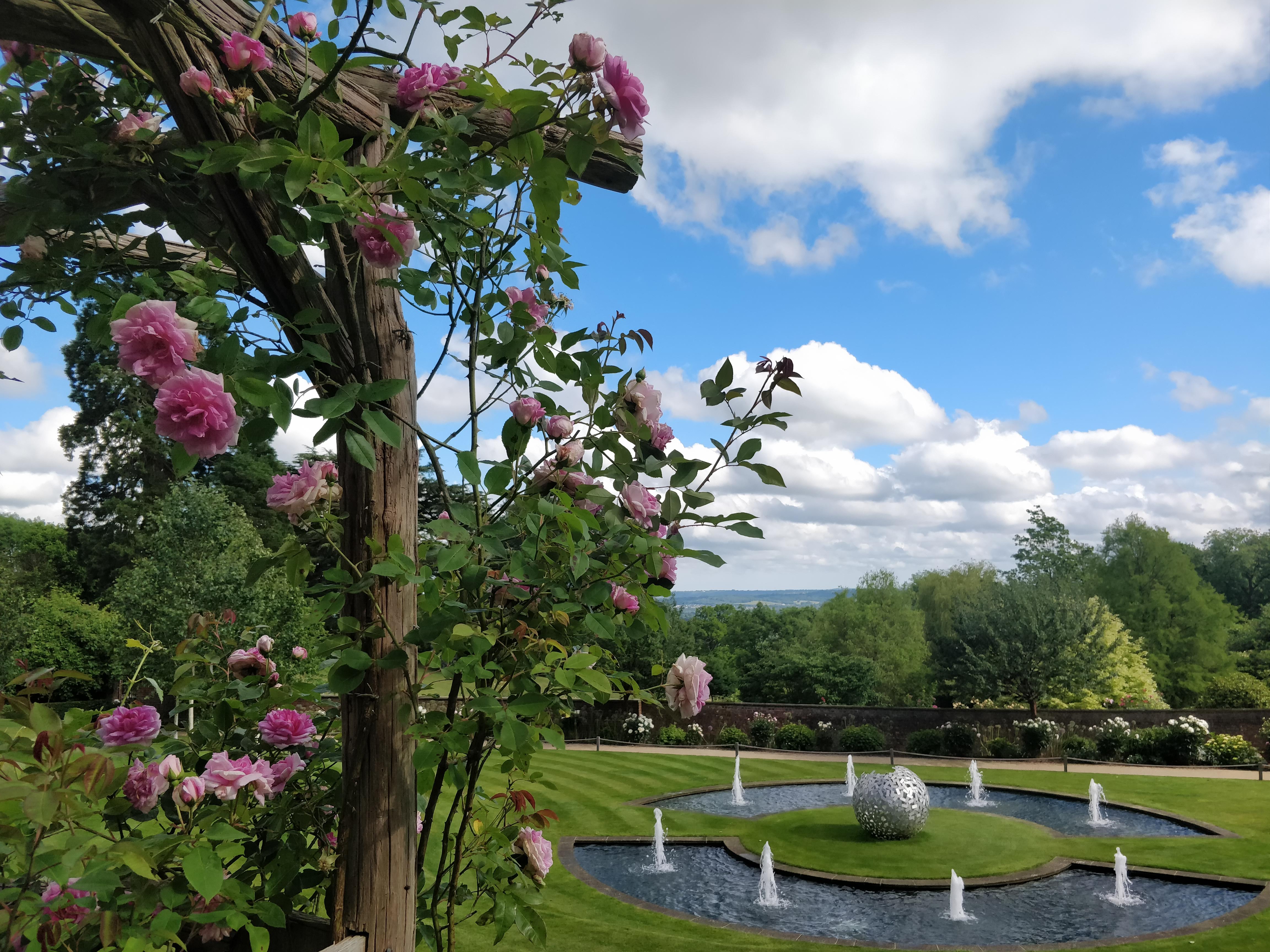 IMG 20190614 165050 Copy