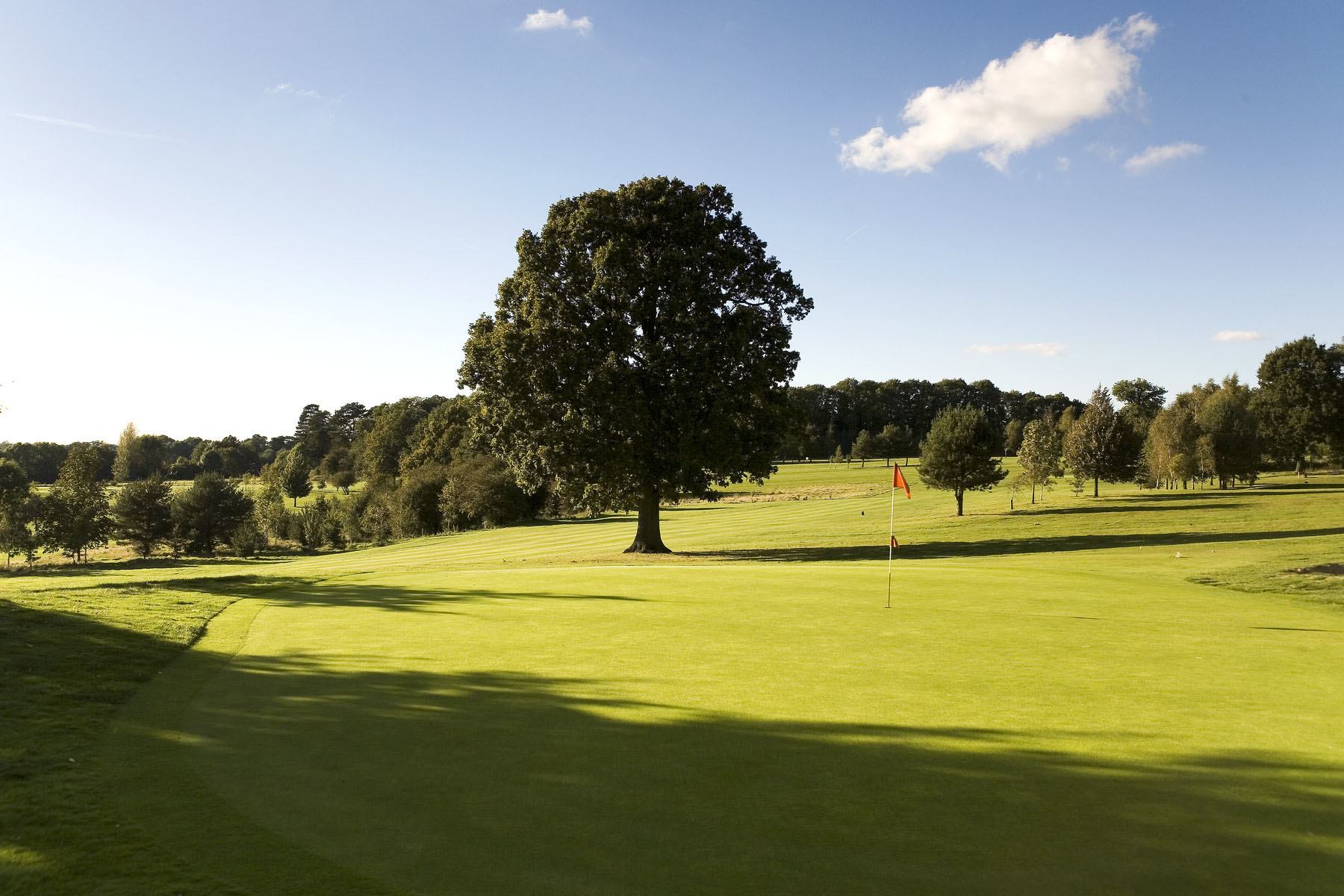tudor-hill---17th-hole.jpg