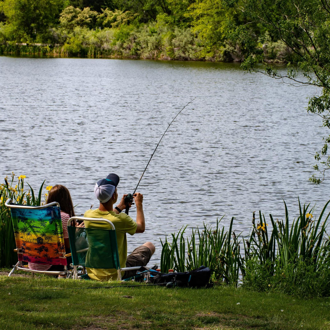 Untitled Design (4) (1)