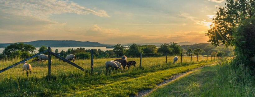 Untitled Design (5) (3)