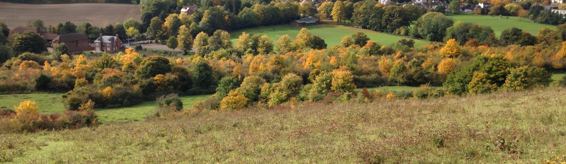 Darland Banks Panorama