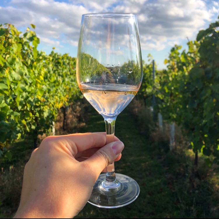 Wtok Wine Glass Woodchurch March2021 (C)