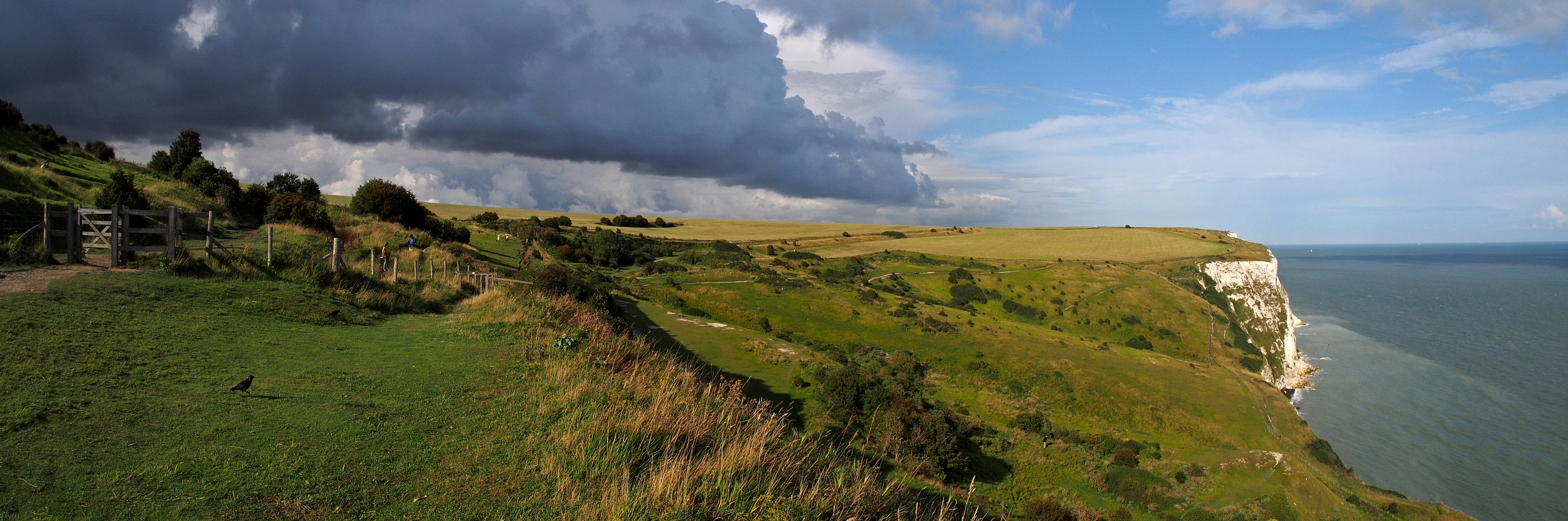 5 White Cliffs Coastal Path