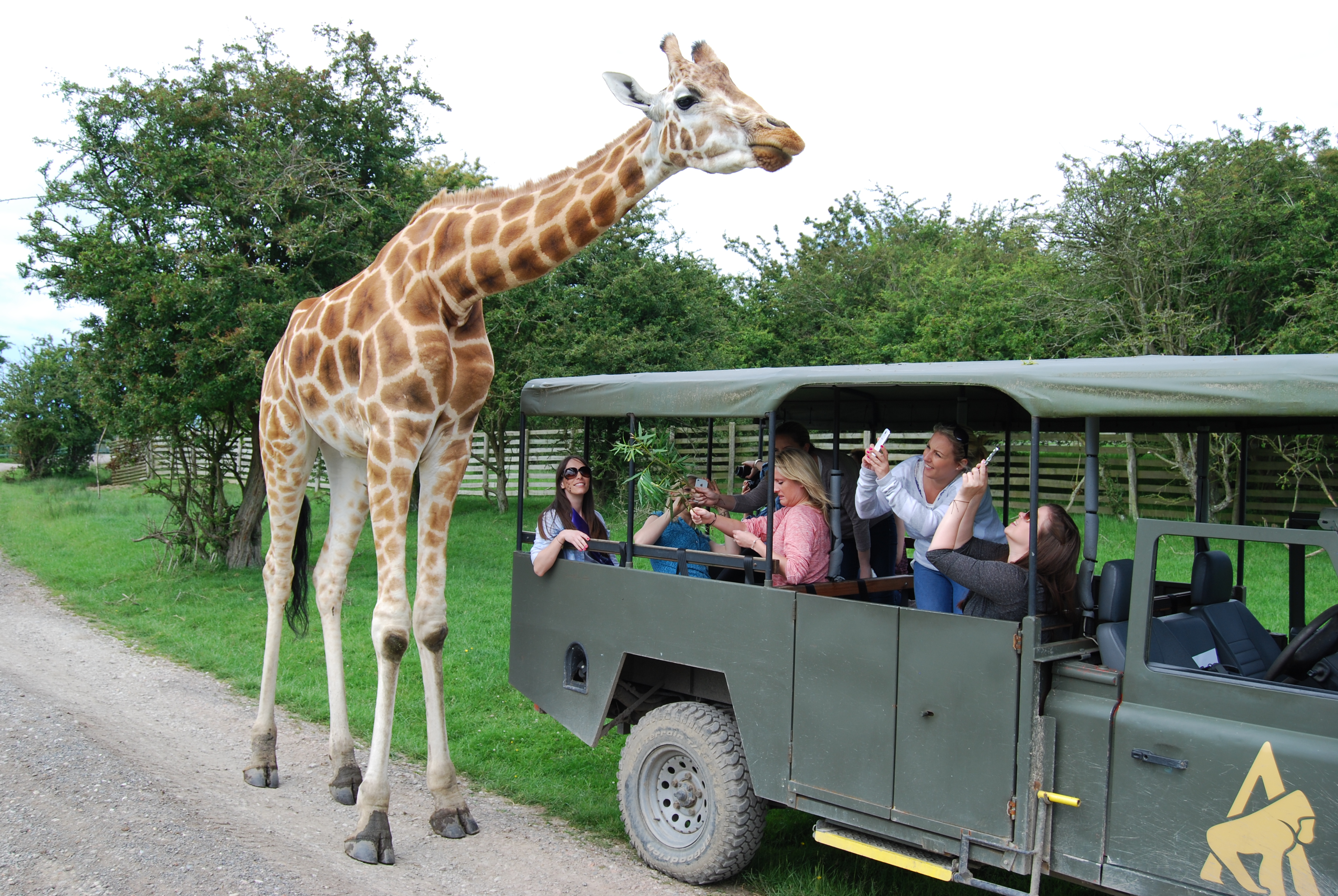 EXPERIENCE DAYS AT HOWLETTS AND PORT LYMPNE 4
