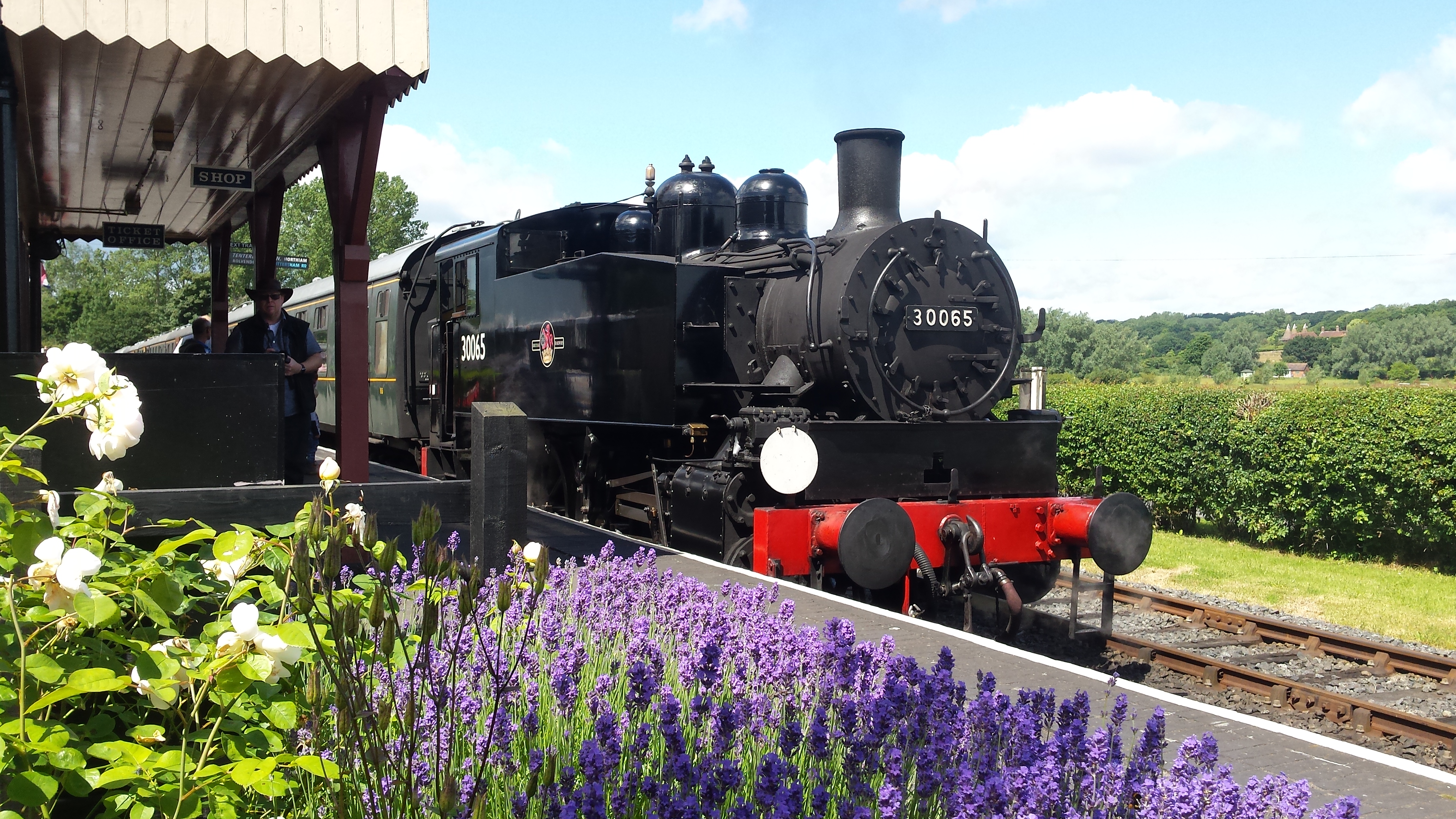 KESR Bluebells (Andrew Hardy)