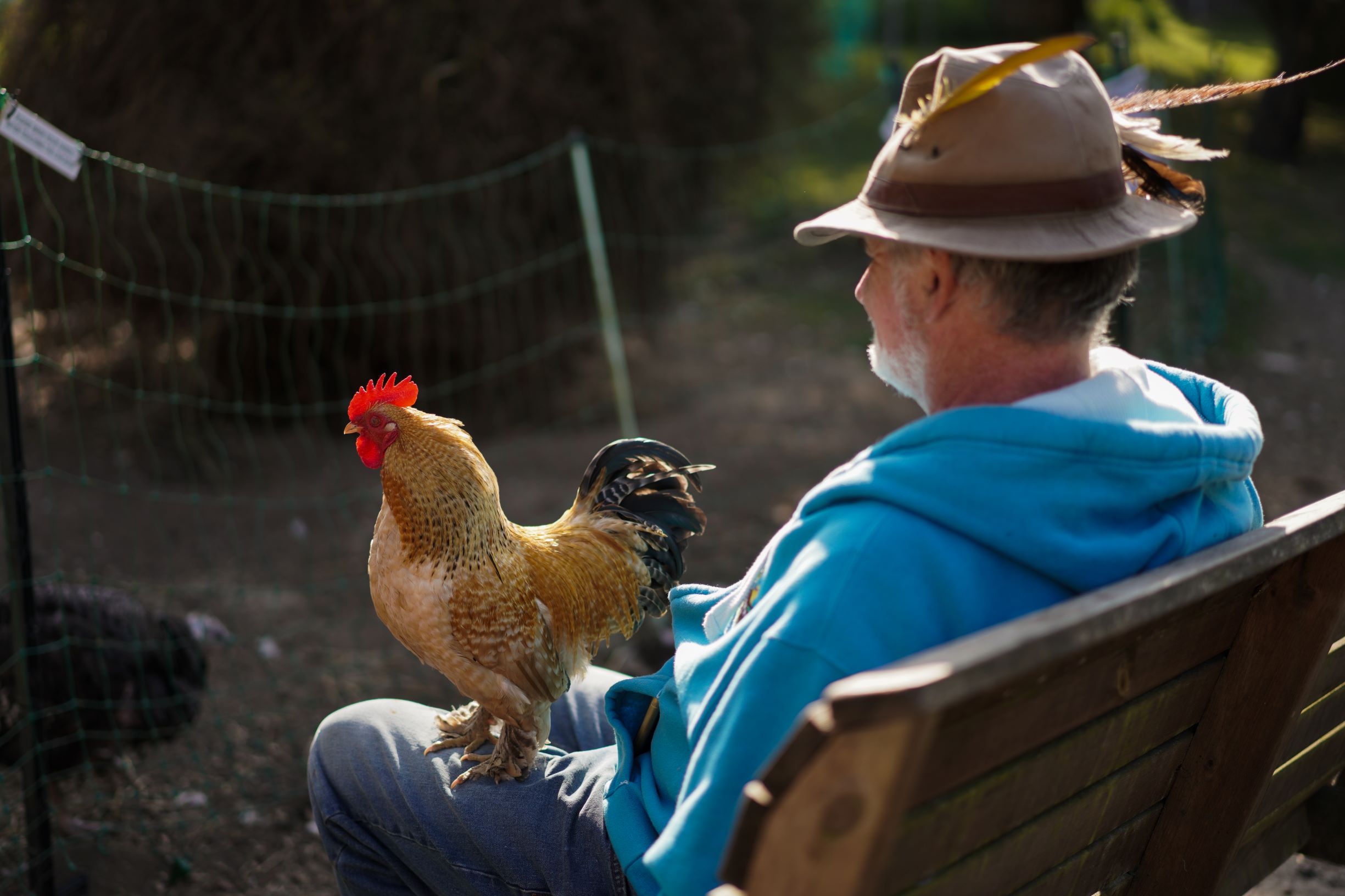 Bill And Chick Norris