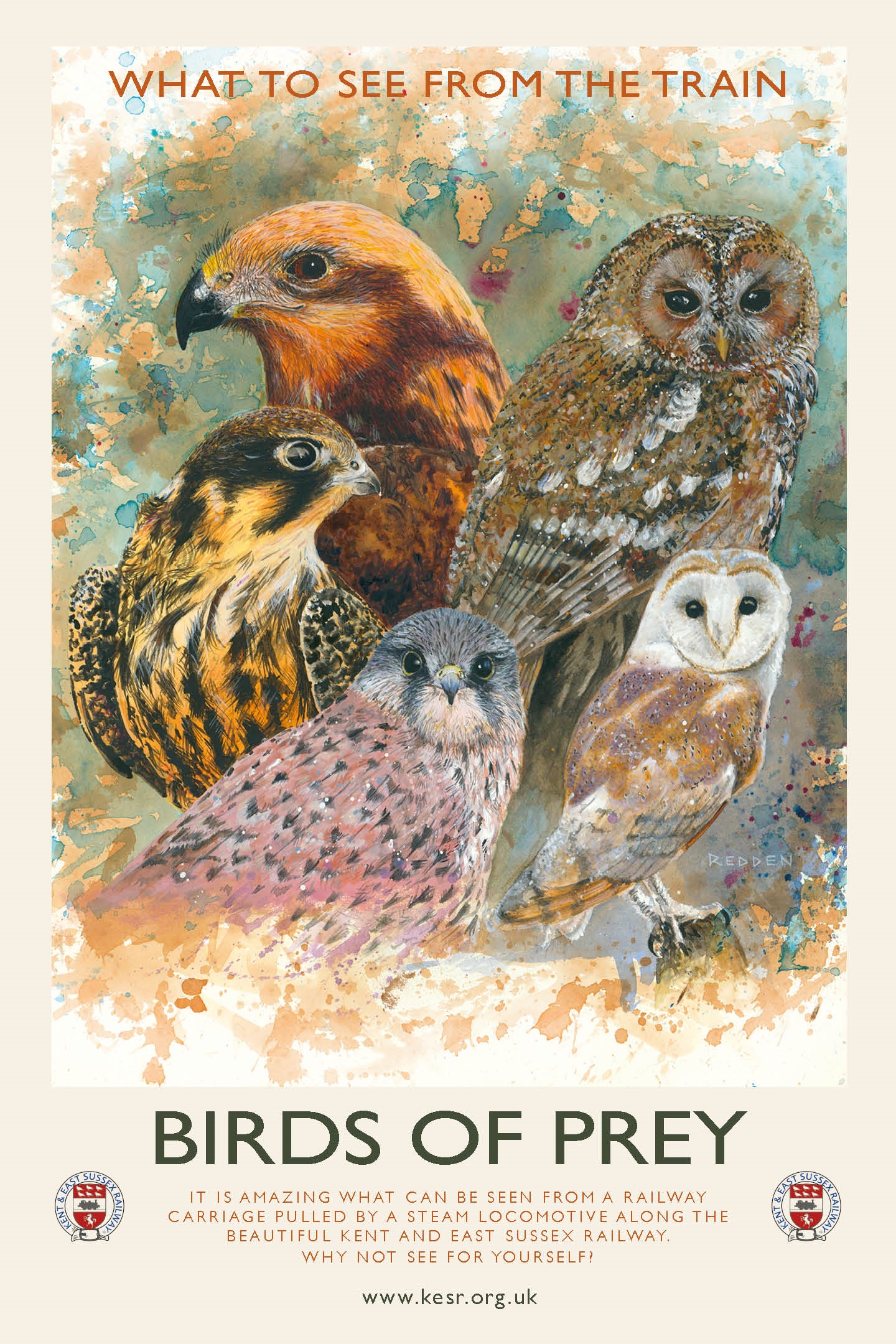 413d6276-d955-4643-b256-19de4c873d28-KESR WTSFTT DOUBLE CROWN Birds of prey LR.jpg