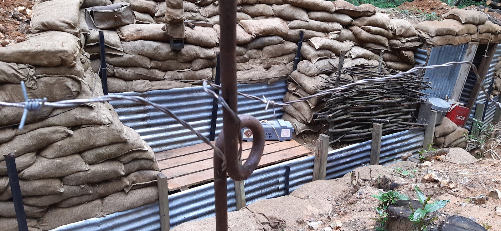 fece7b91-bec4-4ebf-812c-82f6bb4ec578-andy photo 1.jpeg