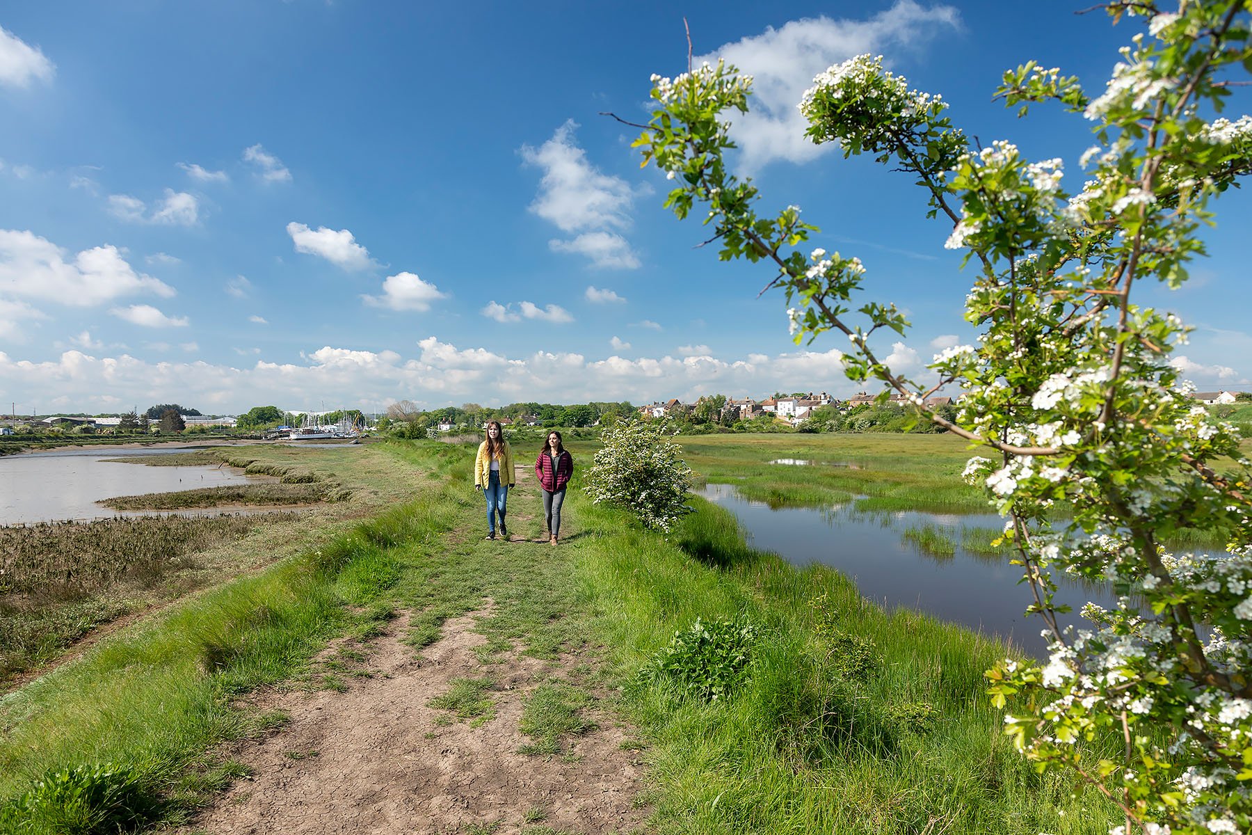Oare Marshes 6