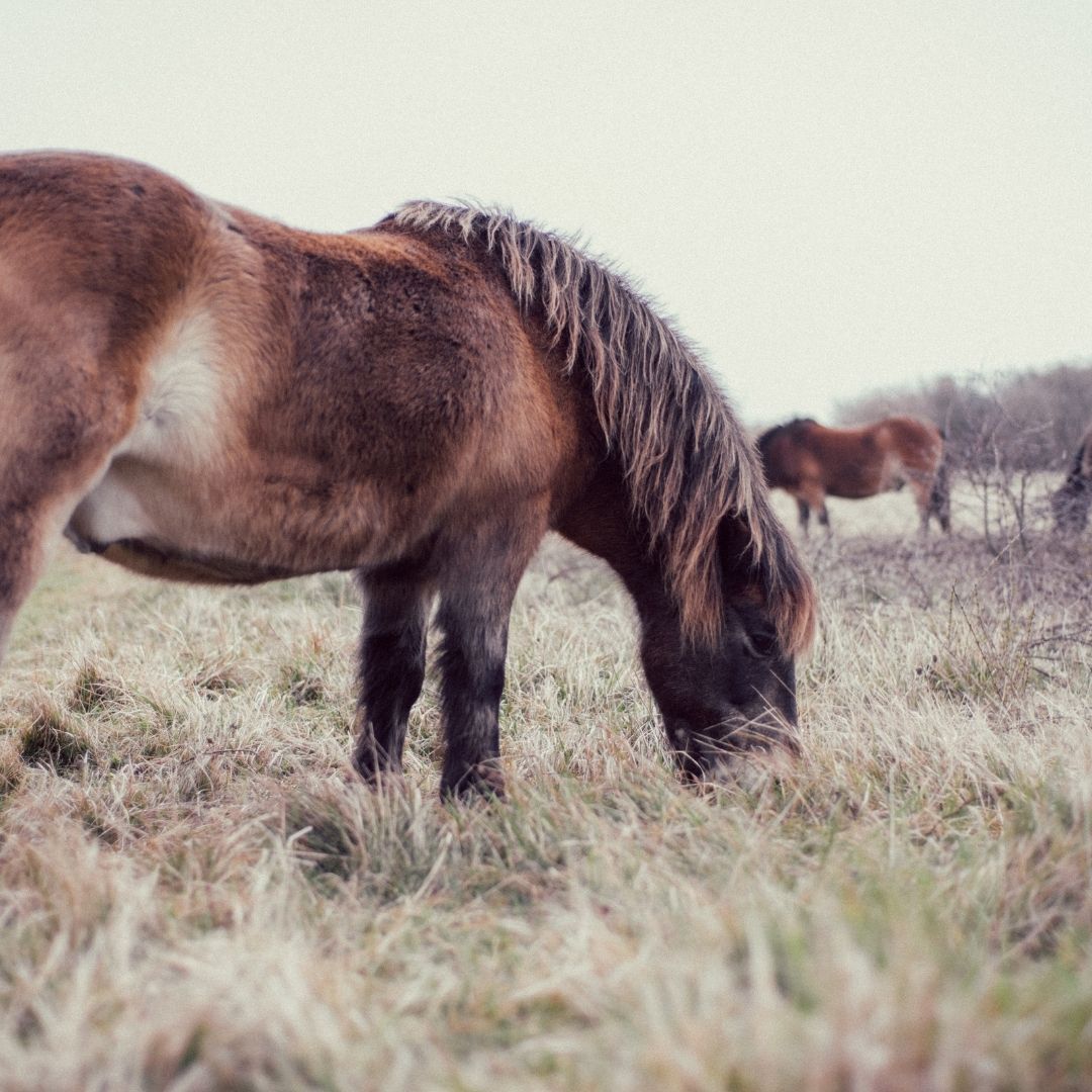 Untitled Design 2022 04 25T091035.743