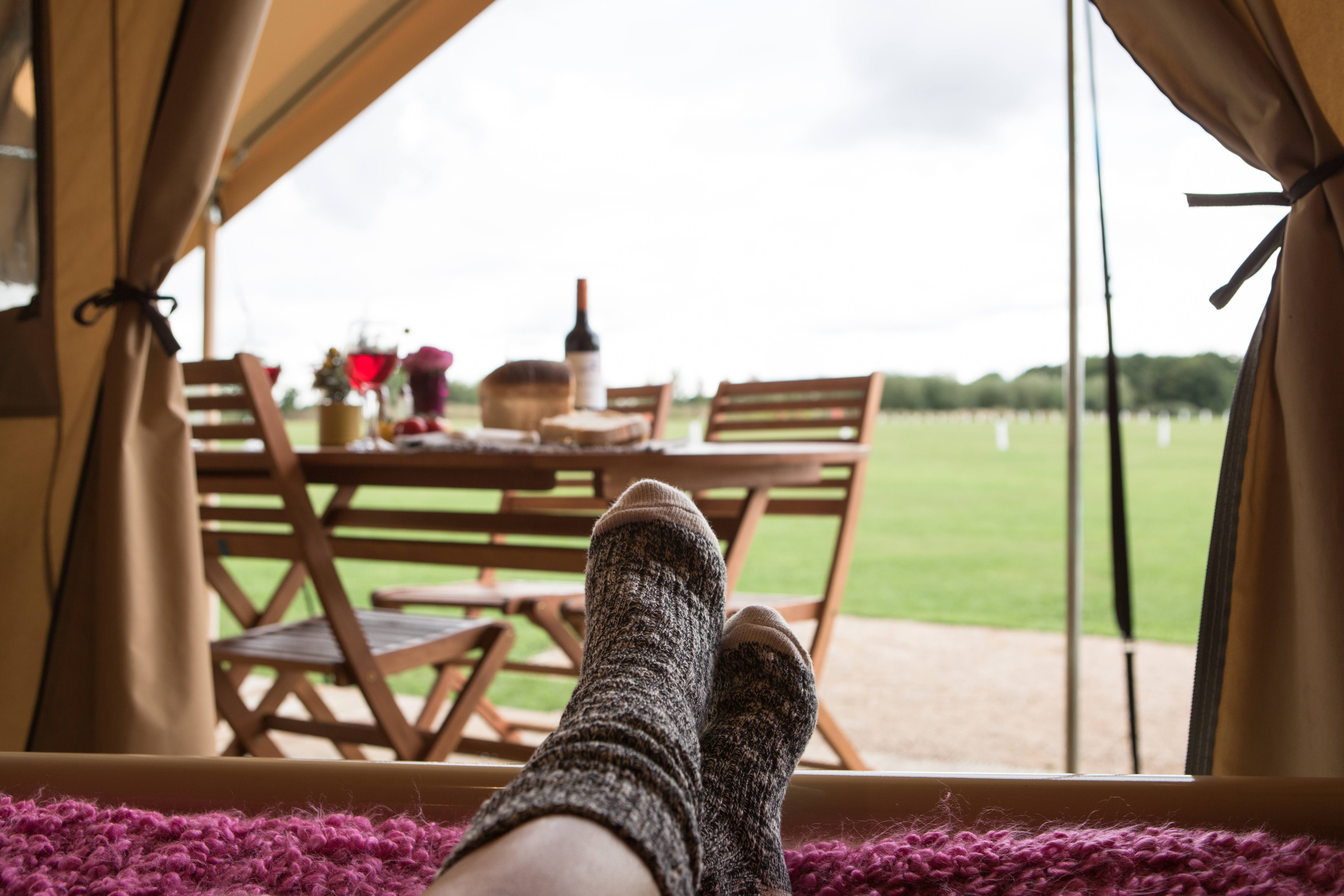 Creature Comforts.jpg